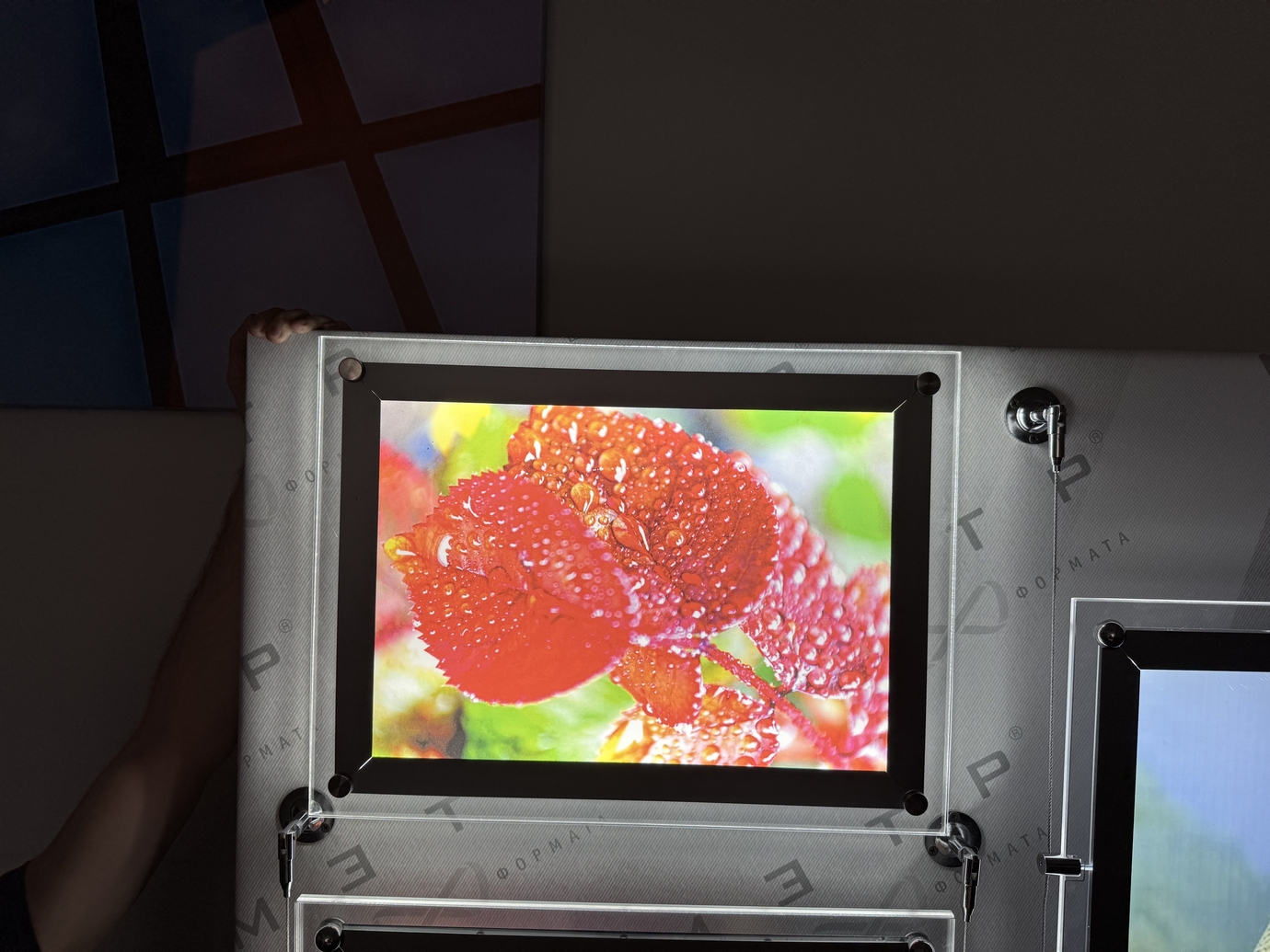 купить световые панели