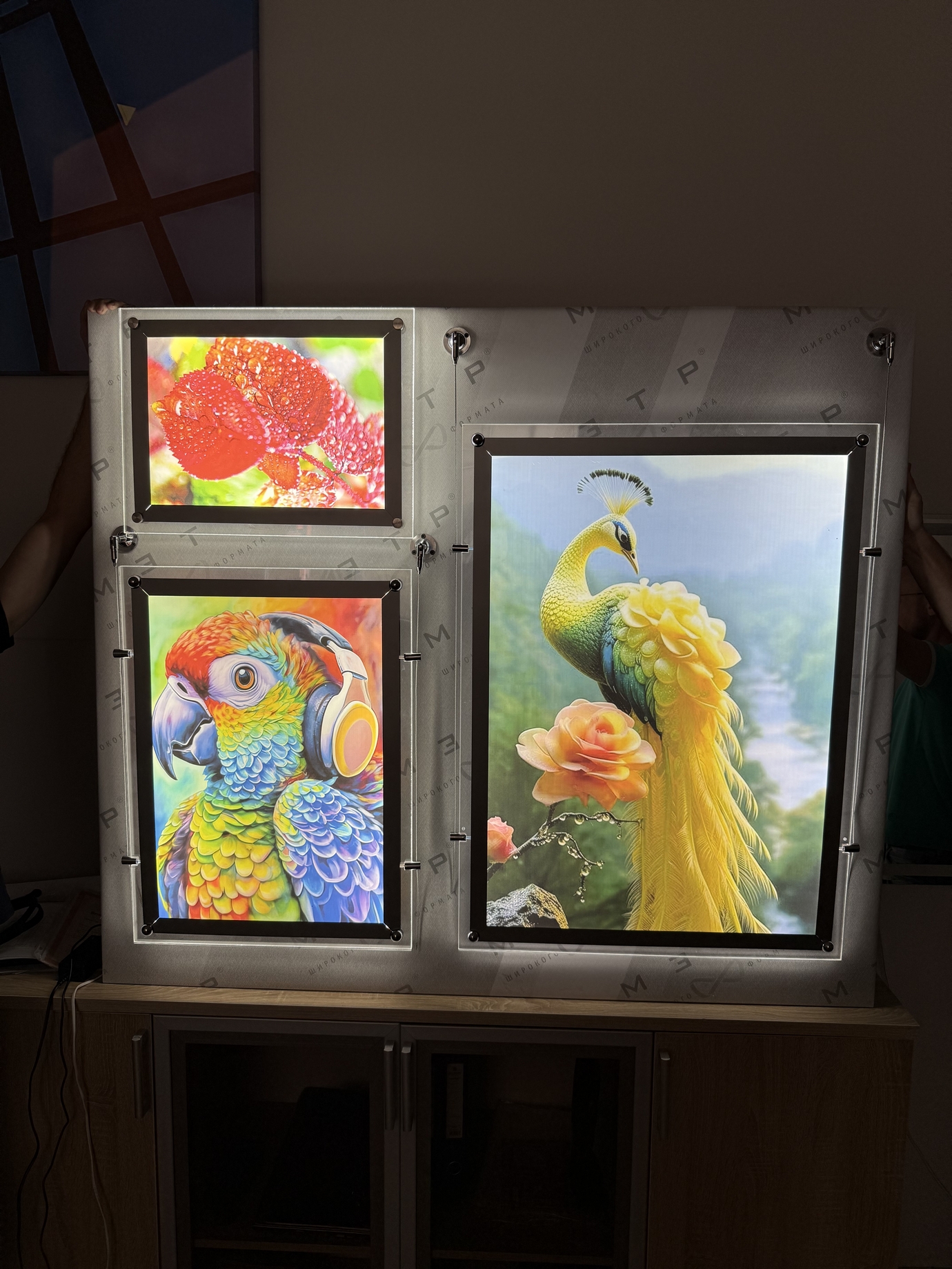 купить кристалайт